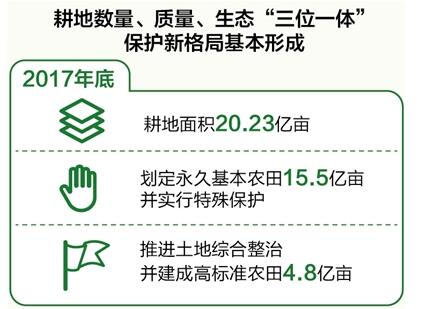 數(shù)量、質量、生態(tài)協(xié)同 耕地保護新格局基本形成